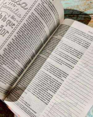 Biblia Inspira NTV con Filament (SentiPiel, Paraíso floral)