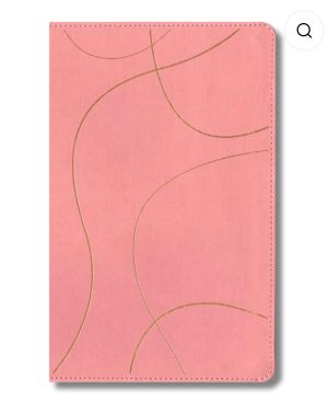 Biblia de Estudio Diario Vivir para jóvenes (Rosa)