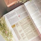 Biblia de Estudio Diario Vivir para jóvenes (Rosa)