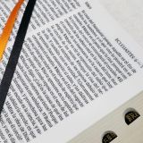 Biblia de Estudio Teológico RVR 1960