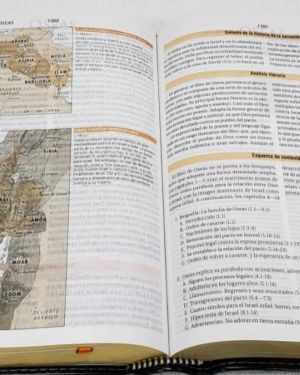 Biblia de Estudio Teológico RVR 1960