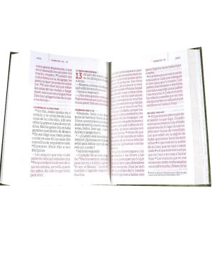 Biblia en Traducción en Lenguaje Actual (TLA)