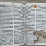 Biblia de Estudio Teológico