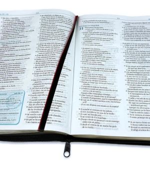 La Biblia para la Predicación