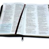 La Biblia para la Predicación