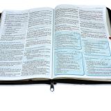 La Biblia para la Predicación
