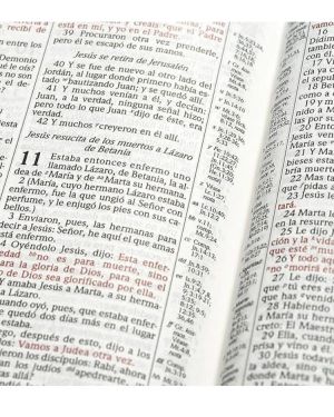 RVR 1960 Biblia de estudio Scofield, tapa dura con índice (Spanish Edition)