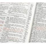RVR 1960 Biblia de estudio Scofield, tapa dura con índice (Spanish Edition)